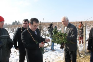 Плевен